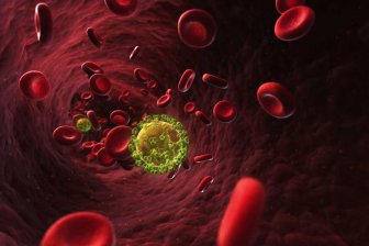 Ученые: Обнаружены антитела, нейтрализующие 96% штаммов ВИЧ