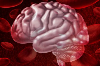 Ученые: Биполярное расстройство связано с утончением коры головного мозга