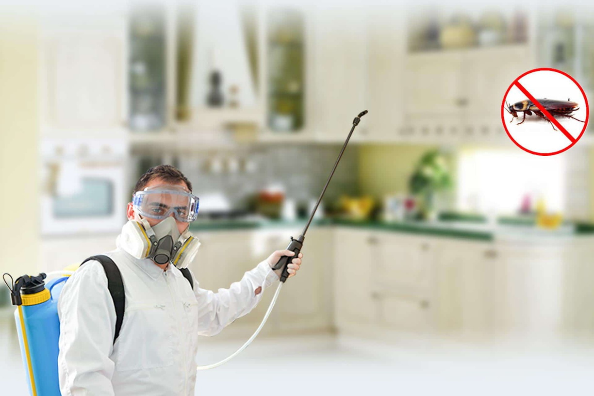 В чем опасность тараканов