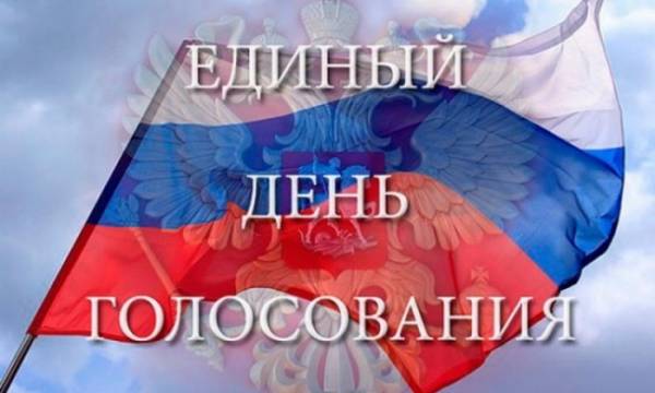 Явка на выборах в Москве составила 19%