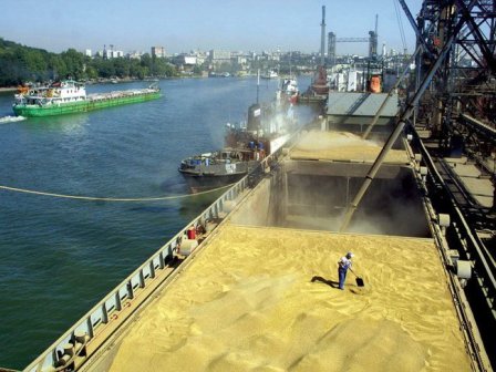 Российская пшеница с поставкой в Египет упала в цене