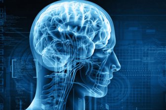 Ученые с помощью МРТ изучили процесс старения мозга