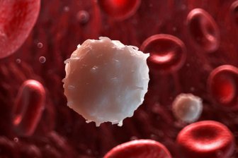Ученые хотят создать ГМО-клетки для борьбы с раком крови‍