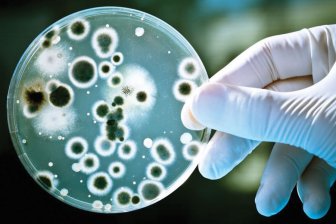 Медики бьют тревогу из-за устойчивости супербактерий к антибиотикам