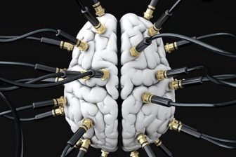 Исследование мозга одноруких людей опровергает представления об организации мозга