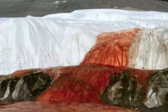 Исследователи разгадали тайну Кровавого водопада в Антарктиде