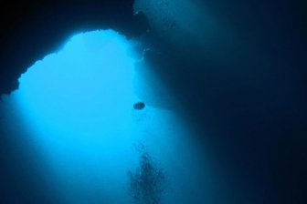 На глубине 10 км под океанским дном может существовать жизнь
