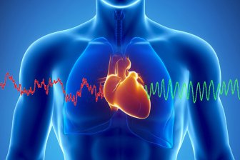 Новосибирские ученые создают мобильную систему мониторинга сердца