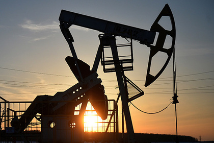 За год цена российской нефти Urals выросла в полтора раза