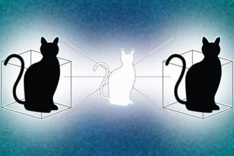 Отечественные физики научились "откармливать" котов Шредингера