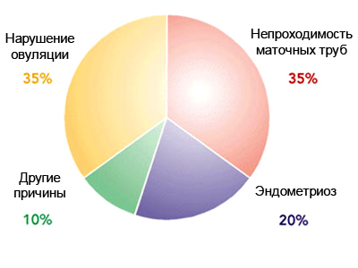 Причины бесплодия у мужчин и женщин