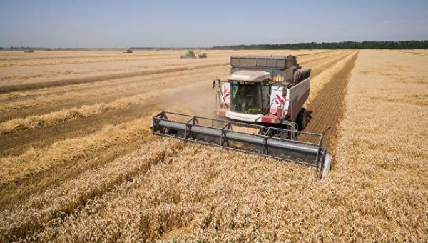 Турция ужесточила правила импорта российской сельхозпродукции