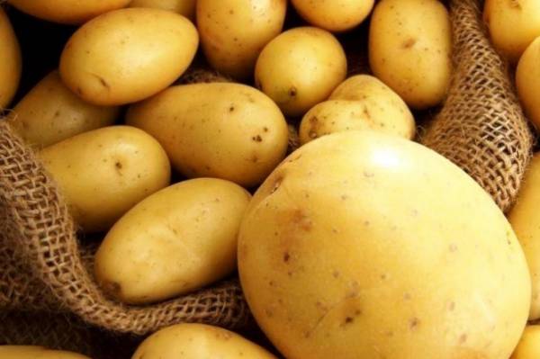 Россиян предупредили о скором дефиците картофеля