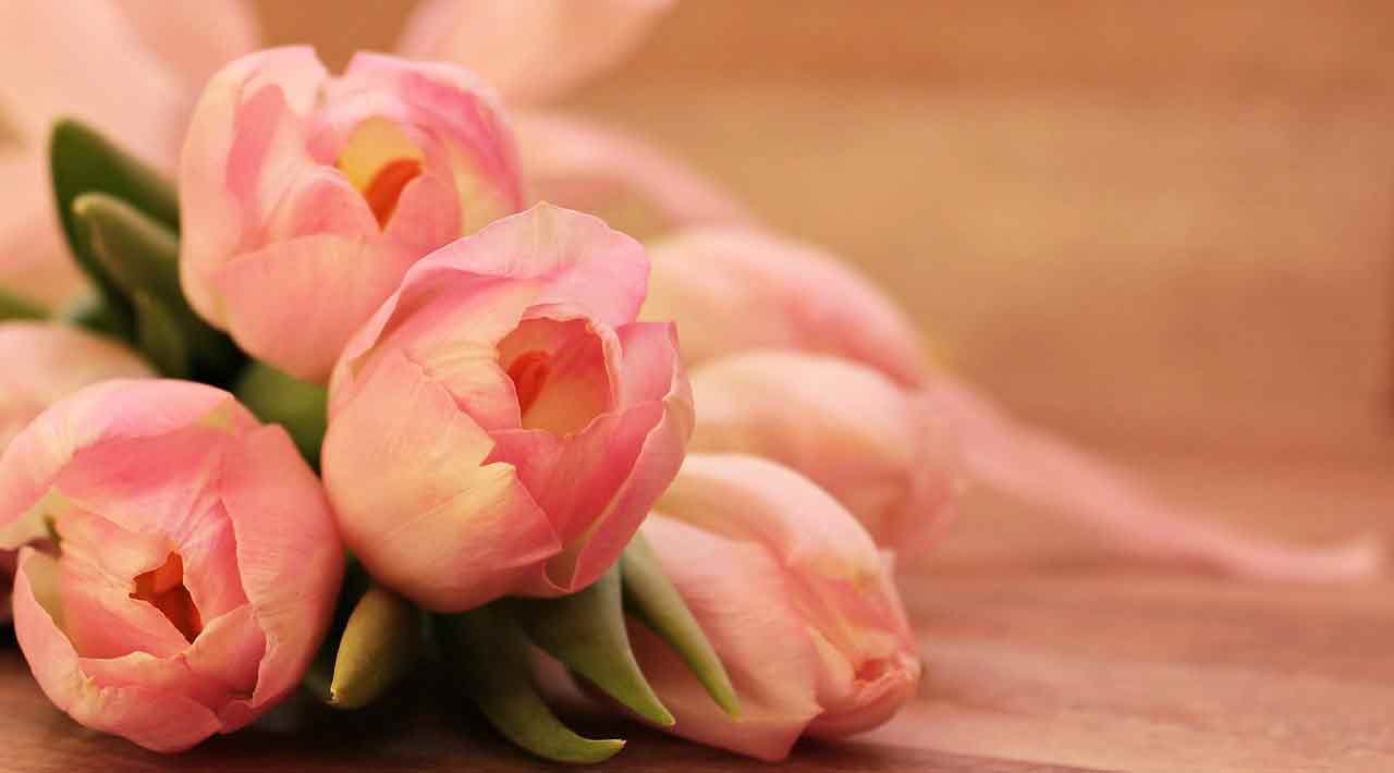 Тюльпаны в букетах: Идеи весенних композиций