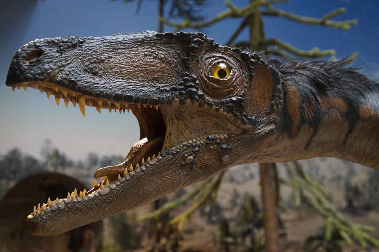 Развенчан популярный миф. Динозавры расселились по Земле в прохладный период