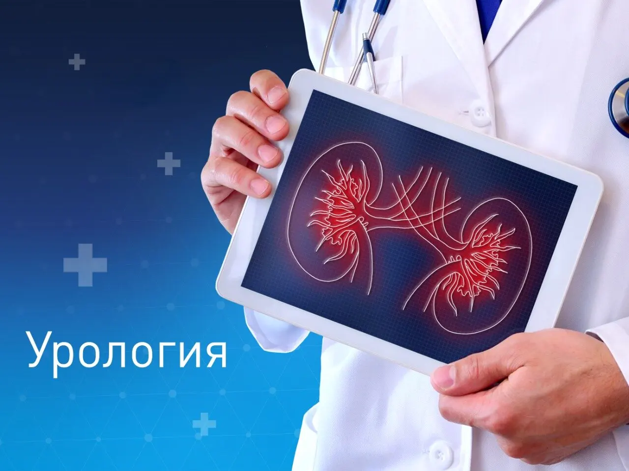 Урологическое УЗИ: в каких случаях требуется проведение исследования?